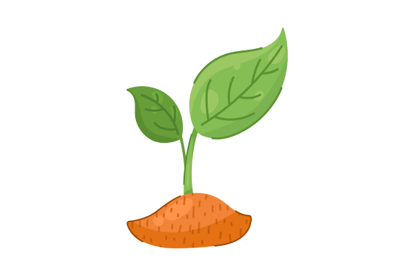 Swinge - Vino de Naranja