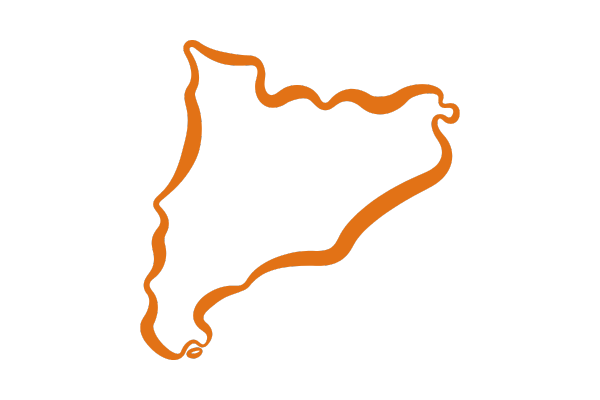 Swinge - Vino de Naranja